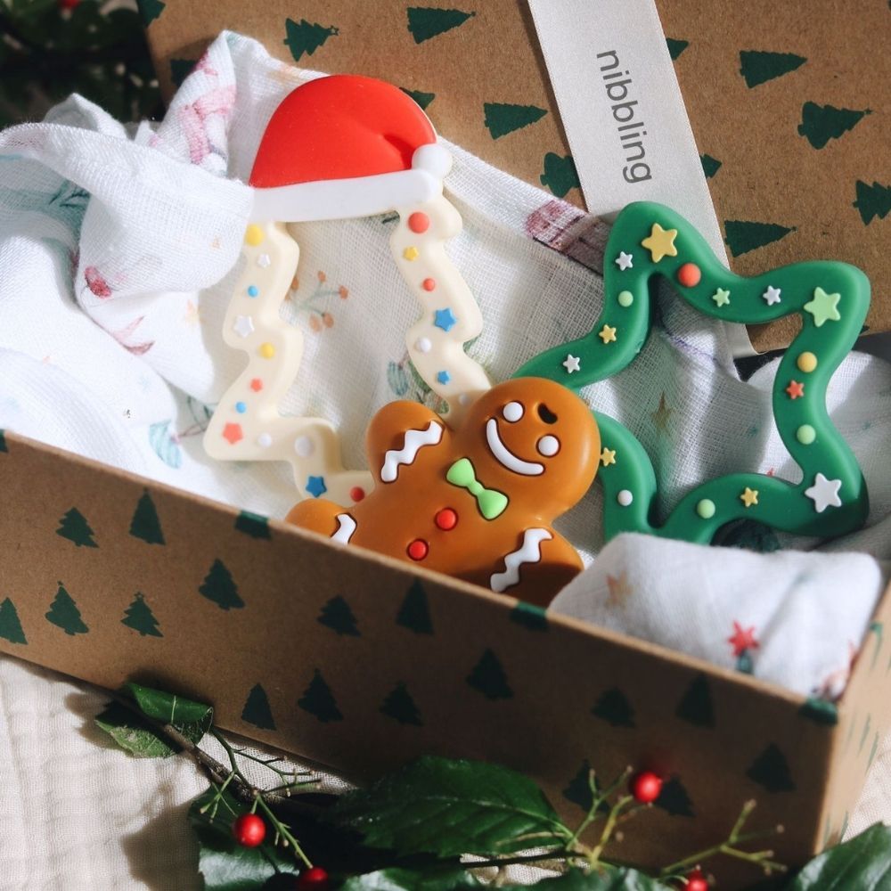 nibbling teething set xmas